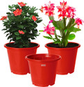 HOMESTIC by Kuber Industries Plastic Planters|Gamla|Flower Pots for Garden,8"x6",Pack of 3 (Red) Plant Container Set