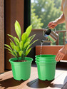 HOMESTIC by Kuber Industries Plastic Planters|Gamla|Flower Pots for Garden,8"x6",Pack of 4 (Green) Plant Container Set