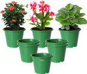 HOMESTIC by Kuber Industries Plastic Planters|Gamla|Flower Pots for Garden,8"x6",Pack of 8 (Green) Plant Container Set