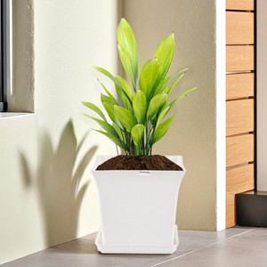 homestic by kuber industries premium flower pots for garden with bottom plates  white plant container set