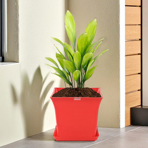 homestic by kuber industries premium flower pots for garden with bottom plates  red plant container set