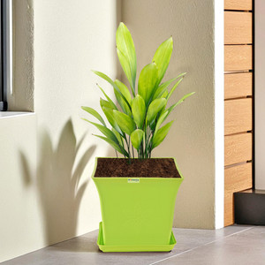 homestic by kuber industries premium flower pots for garden with bottom plates  green plant container set