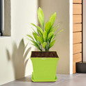 HOMESTIC by Kuber Industries Premium Flower Pots for Garden with Bottom Plates | Green Plant Container Set