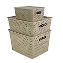 Homestrap Set Of 3 Plastic Storage Organizers/Baskets With Lid For Kitchen, Clothes, Multipurpose Vegetables, Toys, Books, Office, Stationery, Wardrobe(Small, Medium, Large | Biscuit)