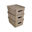 Homestrap Set Of 3 Plastic Storage Organizers/Baskets With Lid For Kitchen, Clothes, Multipurpose Vegetables, Toys, Books, Office, Stationery, Wardrobe(Small| Biscuit)