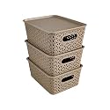 Homestrap Set Of 3 Plastic Storage Organizers/Baskets With Lid For Kitchen, Clothes, Multipurpose Vegetables, Toys, Books, Office, Stationery, Wardrobe(Small| Biscuit)