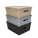 Homestrap Set Of 3 Plastic Storage Organizers/Baskets With Lid For Kitchen, Clothes, Multipurpose Vegetables, Toys, Books, Office, Stationery, Wardrobe(Medium| Biscuit, Grey, Brown)