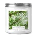 Homsolver 14oz Balsam Fir & Cedar Scented Candle, 2-Wick Natural Soy Winter Pine Candle for Home, 60-Hour Clean Burn, Christmas Holiday Gifts and Room Decor for Women, Mom & Friends