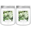 Homsolver 2 Packs Christmas Candles, 7OZ Balsam Fir Scented Pine Candle, Holiday Christmas Jar Candle Gifts for Women and Men, 50+ Hour Burn Time, Christmas Tree Scented Decor for Home