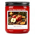 Homsolver 7OZ Apple Cinnamon Scented Candle, Fall & Winte r& Christmas Holiday Candle for Home, Luxury Coconut Soy Wax Blend with 50H Clean Burn, Ideal Small Christmas Candles Decor & Gifts for Women