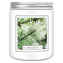 Homsolver 7OZ Balsam Fir Pine Candle, Christmas Scented Candles, Holiday Natural Soy Candles with 50 Hour Burn Time, Fir Cedar Tree Scent Gifts for Women Men, Wedding Favors for Guests, Souvenir Gifts