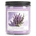 Homsolver 7OZ Soothing Lavender Scented Candle, Natural Soy Candles with 50+ Hour Burn, Soft Juniper Lavender Fragrance Gift for Women, Men Friends, Everyday Use, Comfortable Spaces (Boutique Gifts)