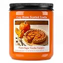 Homsolver 7OZ Warm Vanilla Pumpkin Fall Scented Candle, Natural Coconut Soy Wax Fall Candles with Mild Bakery Notes, Nostalgic Autumn Pumpkin Candle Room Decor & Thanksgiving Holiday Gifts for Women