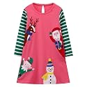 Hongshilian Toddler Girls Longsleeve Dress Cotton Jersey