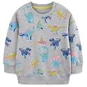 Hongshilian Unisex Kids Cute Cartoon Cotton Sweater Shirt
