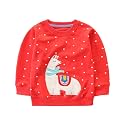 Hongshilian Unisex Kids Cute Cartoon Cotton Sweater Shirt