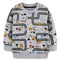 Hongshilian Unisex Kids Cute Cartoon Cotton Sweater Shirt