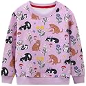 Hongshilian Unisex Kids Cute Cartoon Cotton Sweater Shirt