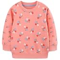 Hongshilian Unisex Kids Cute Cartoon Cotton Sweater Shirt