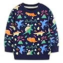 Hongshilian Unisex Kids Cute Cartoon Cotton Sweater Shirt