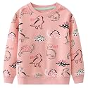 Hongshilian Unisex Kids Cute Cartoon Cotton Sweater Shirt