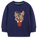 Hongshilian Unisex Kids Cute Cartoon Cotton Sweater Shirt
