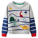 Hongshilian Unisex Kids Cute Cartoon Cotton Sweater Shirt