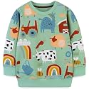 Hongshilian Unisex Kids Cute Cartoon Cotton Sweater Shirt
