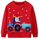 Hongshilian Unisex Kids Cute Cartoon Cotton Sweater Shirt