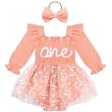 HONGTEYA Baby Girl 1st Birthday Outfit First Romper Tulle Dress Gifts