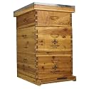 Hoover Hives: The Original Beeswax Coated Beehive Kit. Includes 2 Deep & 1 Medium Boxes with 10 Wooden Frames & Heavy Wax Coated Foundations. Easy Assembly with Predrilled Holes& Screws (Unassembled)