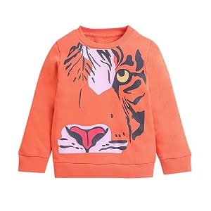 Hopscotch Boys Cotton Round Neck Sweatshirts