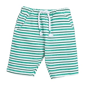 Hopscotch Boys Cotton Stripe Print Shorts in