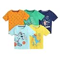 Hopscotch Boys Graphic Regular Fit T-Shirt Pack