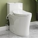 HOROW HR-T0338WBD One Piece Toilet with Non-Electric Bidet