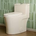 HOROW T0338WBC One Piece Toilet with ADA Chair Height 17.3", Dual Flush