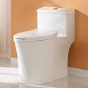 HOROW T0338WG One Piece Toilet with ADA Chair Height 17.3", Dual Flush