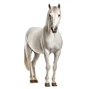 Horse - Life Size Cardboard Cutout Standup People with Support Standee | Animals -2