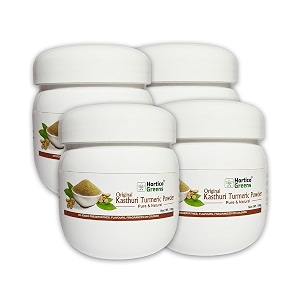 horticogreens natural haldi kasturi turmerickasturi manjalmuskwild amp white turmericjangli haldicurcuma aromatica powder  100 grams 100gm pack of 4