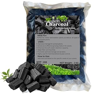 Horticultural Charcoal for Potting Orchid Succulent Adenium