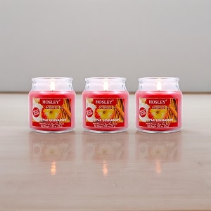 hosley apple cinnamon fragrance jar candle pack of 3 265 oz waxfragrance candles for homescented candlesjar candlesburn time 15 hoursfragrance candlehome decoration soy blend wax