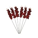 Hosley Artificail Flowers, 6 Pcs Orchid Phalaenopsis Touch Flowers 28Inch Long Burgundy Realistic Silk Floral Arrangement - for Wedding Party, Graden Decoration, Farmhouse, Home Décor, Office Décor