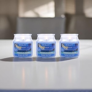 hosley apple cinnamon fragrance jar candle pack of 3 265 oz waxfragrance candles for homescented candlesjar candlesburn time 15 hoursfragrance candlehome decoration soy blend wax
