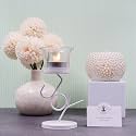 HOSLEY Clear Glass Tealight Candle HoldersWhite Tealight