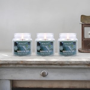 hosley eucalyptus mint fragrance jar candle pack of 3 265 oz waxfragrance candles for homescented candlesjar candlesburn time 15 hoursfragrance candlehome decoration soy blend wax