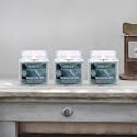 HOSLEY Eucalyptus Mint Fragrance Jar Candle Pack of 3 (2.65 Oz Wax)|Fragrance Candles for Home|Scented Candles|Jar Candles|Burn Time 15 Hours|Fragrance Candle|Home Decoration (Soy Blend Wax)