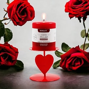 hosley heart shape iron pillar candle holder with apple cinnamon fragrance pillar candle 3 inch45 hours burn timevalentine week gift combo for girlfriend wifegirlswomen menpack of 1red