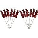 Hosley Set of 12 Bulk Pack Farmhouse Orchid Phalaenopsis Artificial Flowers 28" Long - Burgandy. Great for Use Vases, for Home, Wedding, Spa &amp; Special Occasions