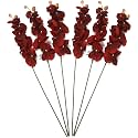 Hosley Set of 144 Bulk Pack Farmhouse Orchid Phalaenopsis Artificial Flowers 28" Long - Burgandy. Great for Use Vases, for Home, Wedding, Spa &amp; Special Occasions