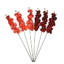 Hosley Set of 6 Floral Stem Orchid Phalaenopsis Salmon - Artificial Flowers for Outdoors and Home Decor - Flores Artificiales para Decoracion, Ideal for Vases, Weddings, Spa, Parties